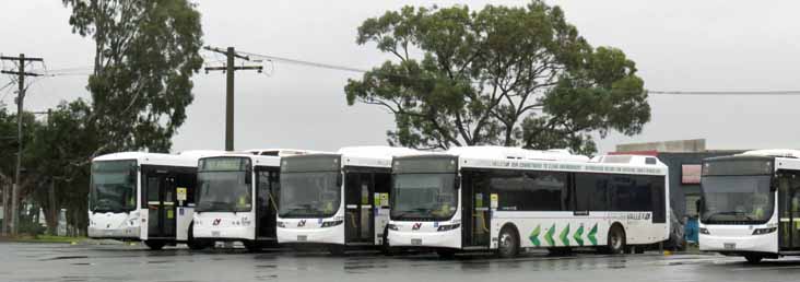 Latrobe Volvo Volgren Optimus B7RLE 105, B5RLEH 126 127, Iveco Metro C260 CR228L 24 & B7RLE Express 70